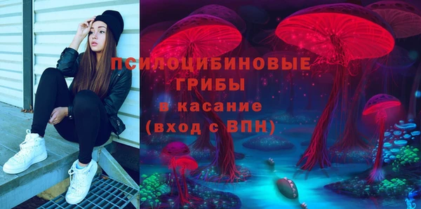 PSILOCYBIN Богородицк